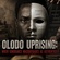 Olodo Uprising: When Ignorance Masquerades as Authenticity.