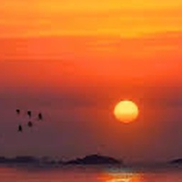 The SUNSET