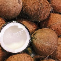 Life Is Like a Coconut 🥥