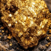 YOU ARE GOLDMINE...