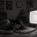 THE HIDDEN COST OF ENTERTAINMENT