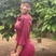 Beele Ileigo