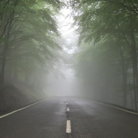 LIVING IN A SPACE OF AMBIGUOUS LOSS