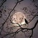Void Night