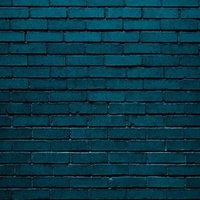 THE WALL