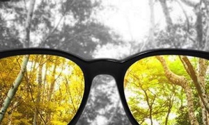 Colours Most People Don’t Even See"