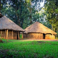 MJANJA WA MAUMIVU ( The Trickster of pain)