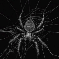 The Black Widow (Part 1)