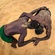 Okirika boys Ep6: The Cave