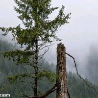 A Call To Resilience