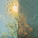 Life and death