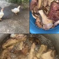 Dear Chicken, Beware of Christmas