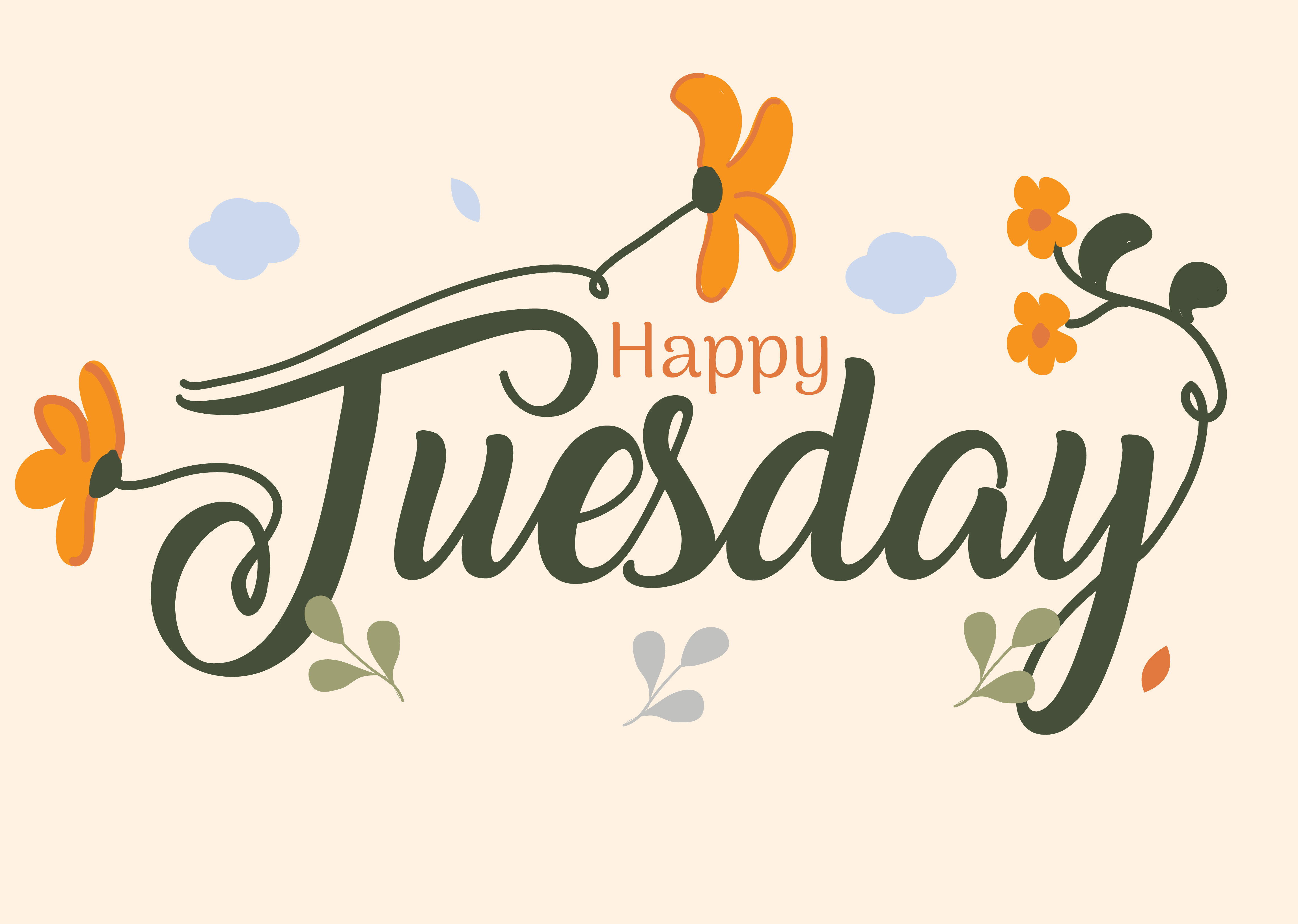 Happy Tuesday!