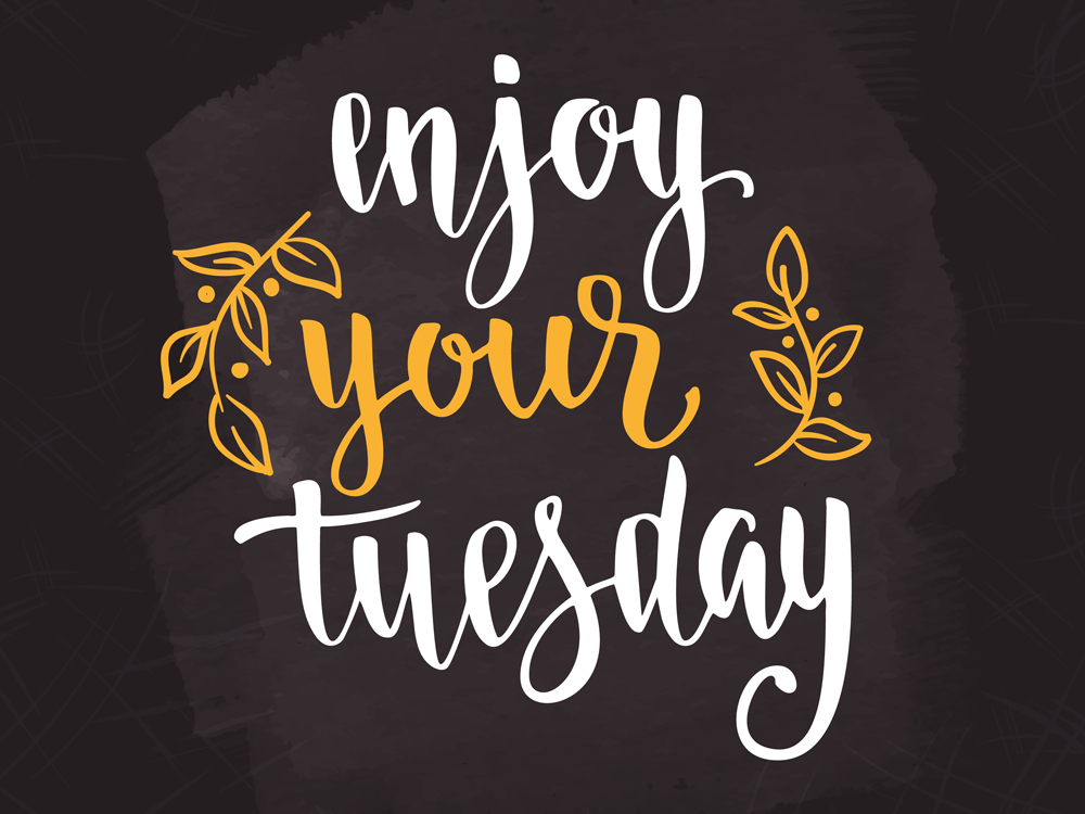 Happy Tuesday!